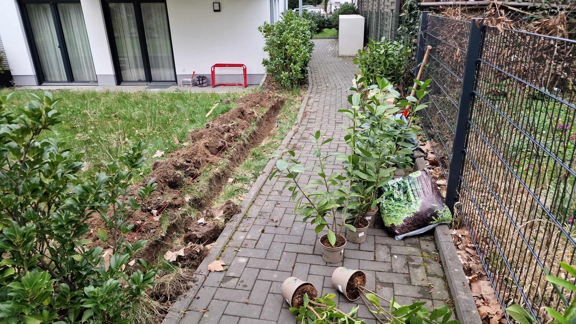 Pflanzen Einpflanzen