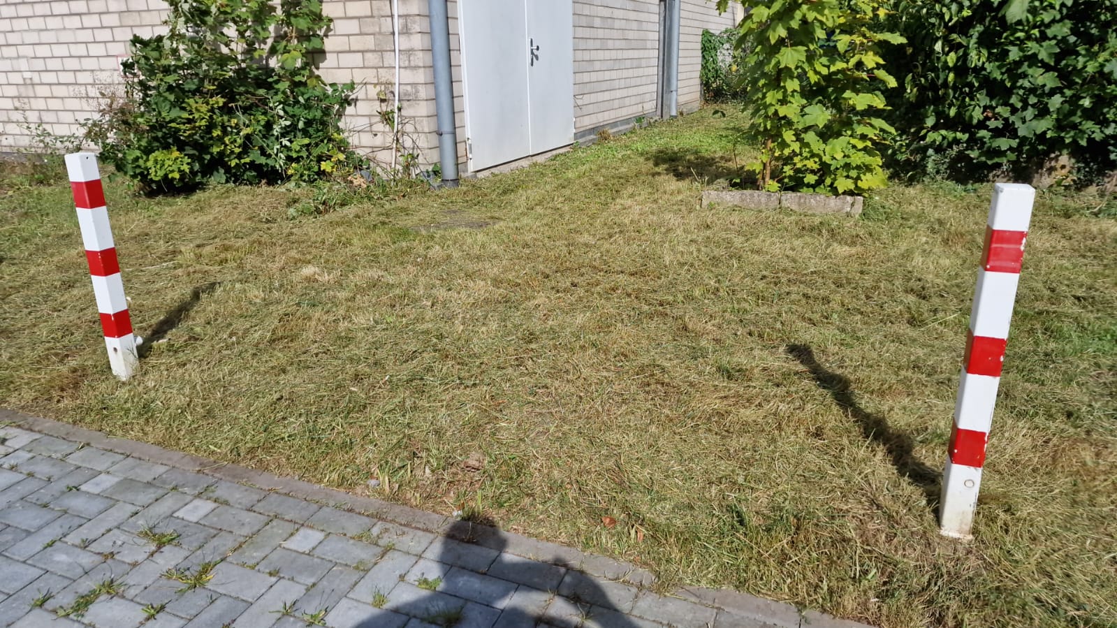 Garten Nachher
